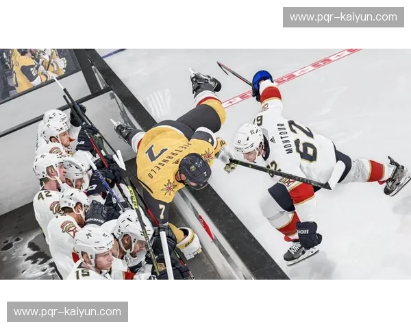 NHL入口：开启你的冰球世界之门